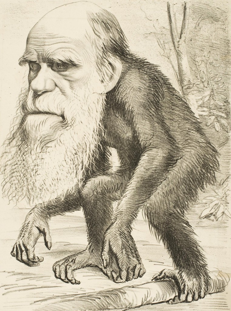 'Darwinism'