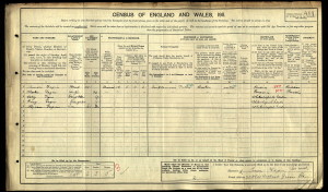 The census record for the Fagan family 